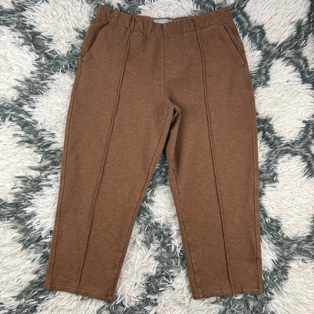 Everlane Womens Dream Ankle Pant Brown Double Knit Heathered Stretch Auburn M